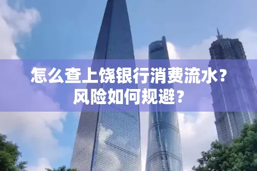 怎么查上饶银行消费流水?风险如何规避?