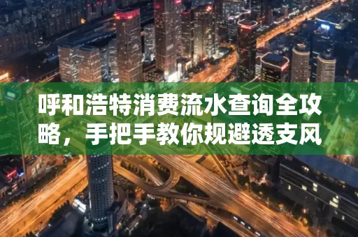呼和浩特消费流水查询全攻略,手把手教你规避透支风险