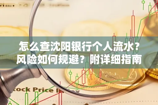怎么查沈阳银行个人流水?风险如何规避?附详细指南