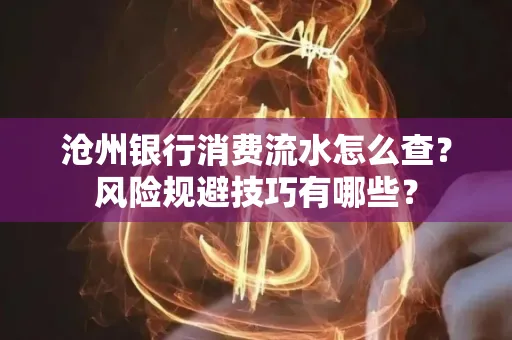 沧州银行消费流水怎么查?风险规避技巧有哪些?