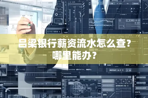 吕梁银行薪资流水怎么查?哪里能办?