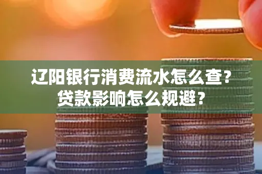 辽阳银行消费流水怎么查?贷款影响怎么规避?