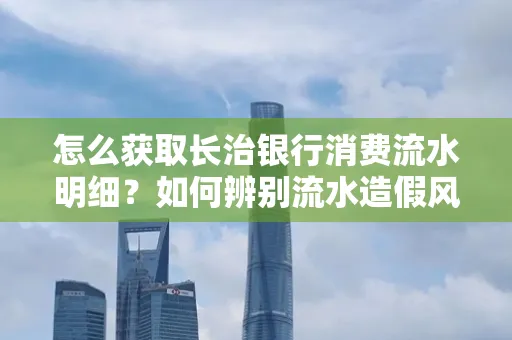 怎么获取长治银行消费流水明细?如何辨别流水造假风险?
