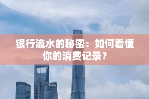 银行流水的秘密:如何看懂你的消费记录?
