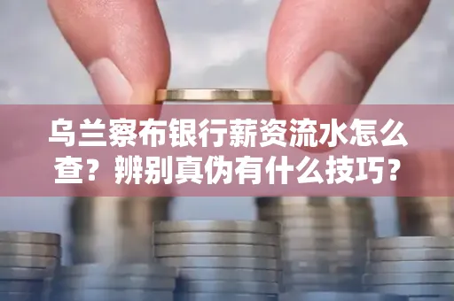 乌兰察布银行薪资流水怎么查?辨别真伪有什么技巧?