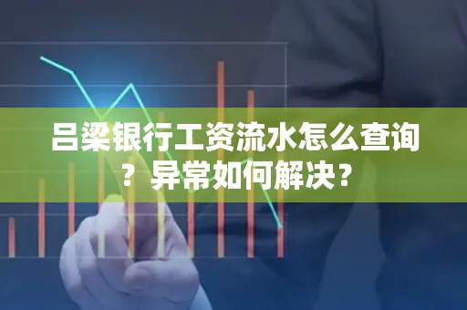 吕梁银行工资流水怎么查询?异常如何解决?