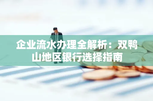 企业流水办理全解析:双鸭山地区银行选择指南