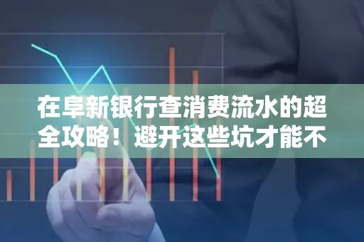 在阜新银行查消费流水的超全攻略!避开这些坑才能不踩雷