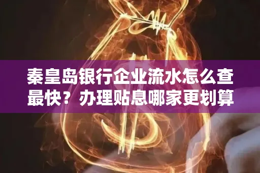 秦皇岛银行企业流水怎么查最快?办理贴息哪家更划算?