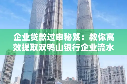 企业贷款过审秘笈:教你高效提取双鸭山银行企业流水