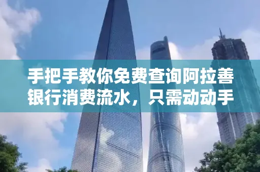 手把手教你免费查询阿拉善银行消费流水,只需动动手指就能完成
