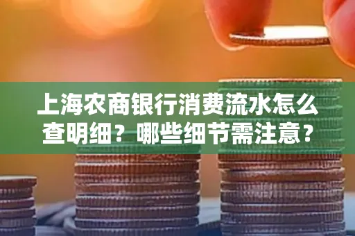 上海农商银行消费流水怎么查明细？哪些细节需注意？