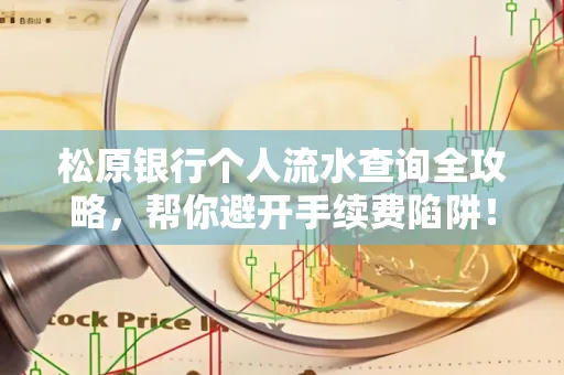 松原银行个人流水查询全攻略,帮你避开手续费陷阱!