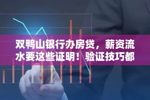 双鸭山银行办房贷，薪资流水要这些证明！验证技巧都在这里！