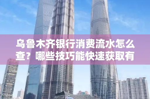 乌鲁木齐银行消费流水怎么查?哪些技巧能快速获取有效信息?