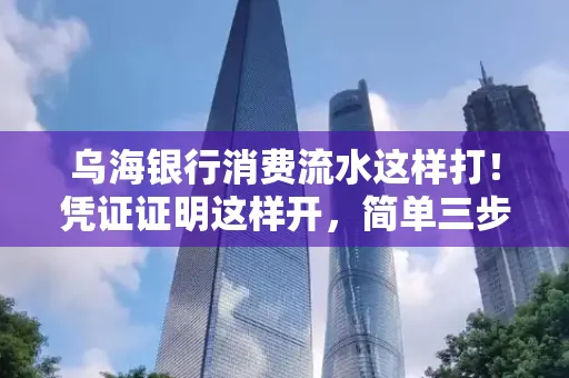 乌海银行消费流水这样打!凭证证明这样开,简单三步轻松搞定