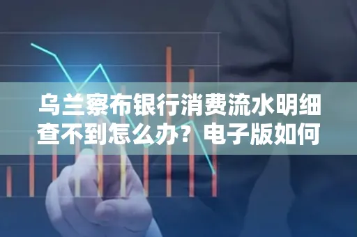 乌兰察布银行消费流水明细查不到怎么办?电子版如何获取攻克技巧?