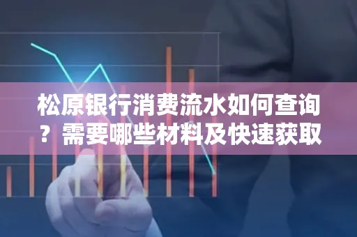 松原银行消费流水如何查询?需要哪些材料及快速获取方法?