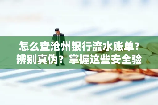 怎么查沧州银行流水账单？辨别真伪？掌握这些安全验证方法