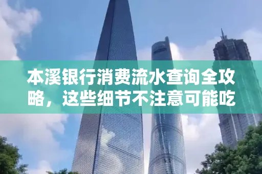 本溪银行消费流水查询全攻略,这些细节不注意可能吃大亏