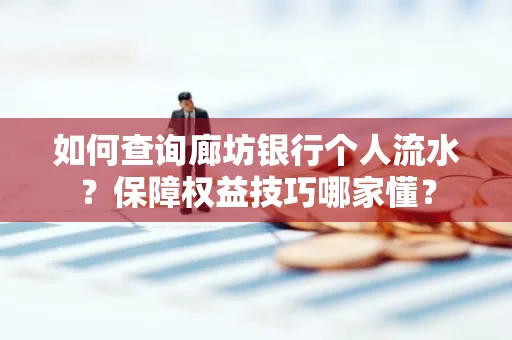 如何查询廊坊银行个人流水？保障权益技巧哪家懂？