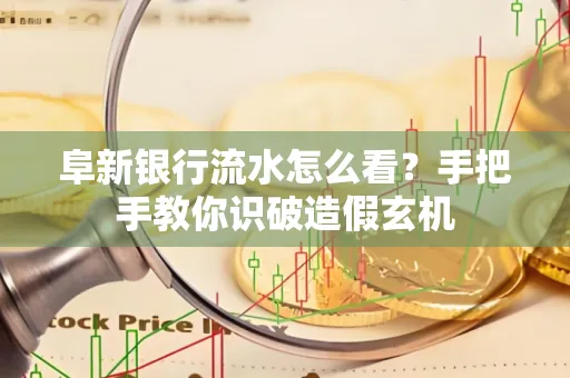 阜新银行流水怎么看?手把手教你识破造假玄机