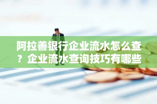 阿拉善银行企业流水怎么查?企业流水查询技巧有哪些?