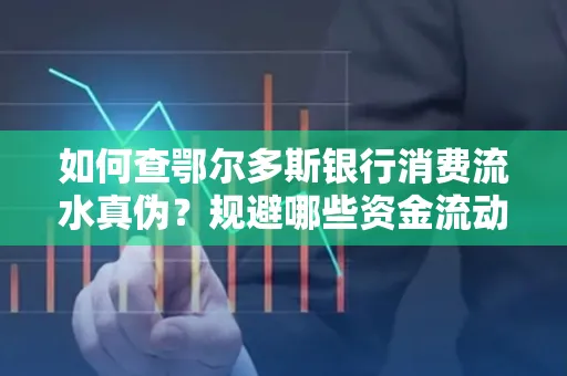 如何查鄂尔多斯银行消费流水真伪?规避哪些资金流动风险?防范要点解析