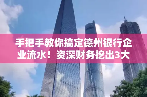 手把手教你搞定德州银行企业流水!资深财务挖出3大隐藏风险点