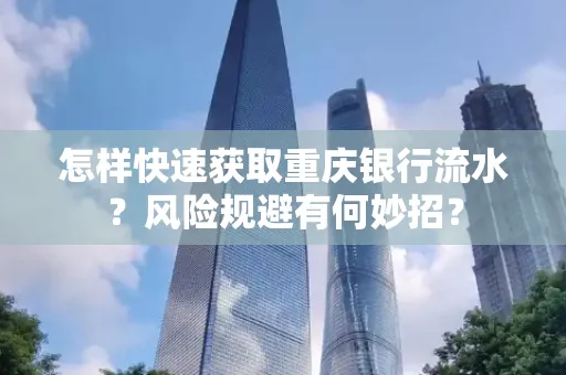 怎样快速获取重庆银行流水?风险规避有何妙招?