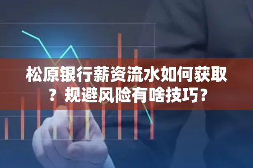 松原银行薪资流水如何获取?规避风险有啥技巧?