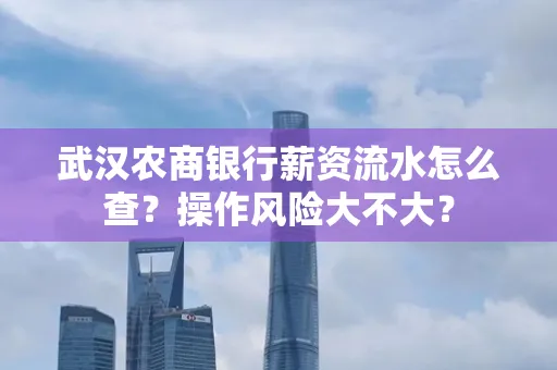 武汉农商银行薪资流水怎么查?操作风险大不大?